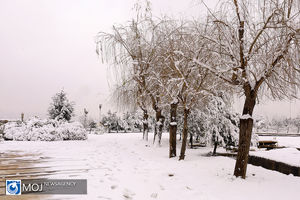 بارش برف و باران در نیمه غربی کشور امروز و فردا ادامه دارد