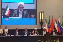 ایران برای دفاع از حقوق سرمایه گذاران قوانین ویژه‌ای دارد