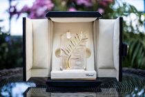 برق جشنواره کن را قطع می‌کنیم!