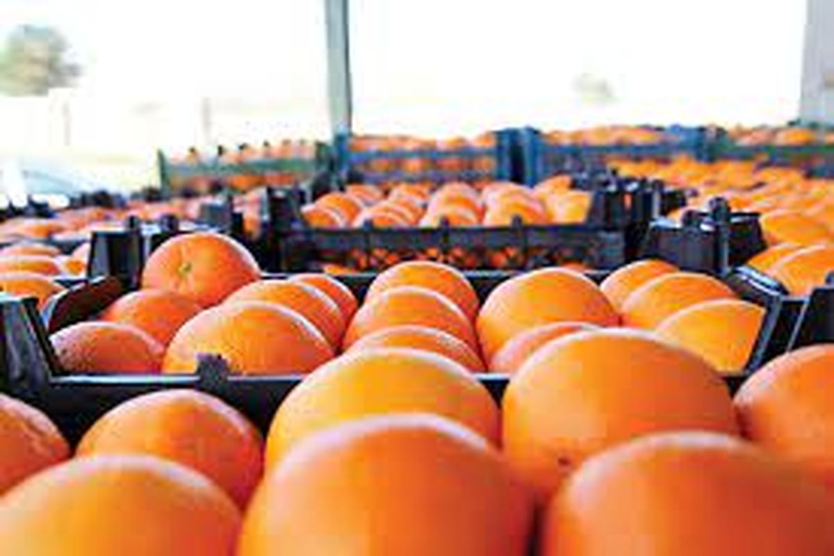 آماده باش صمت گیلان در بازار شب عید و ماه رمضان