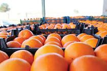 آماده باش صمت گیلان در بازار شب عید و ماه رمضان