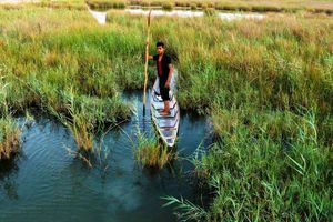 حفاظت از تالاب شادگان و محیط زیست مستلزم مشارکت مردمی است