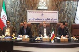نخستین کارخانه مجهز فرنچ فرایز سیب‌زمینی در اردبیل آماده بهره برداری است