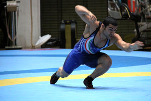 گودرزی از نامزدی در انتخابات کمیسیون ورزشکاران انصراف داد