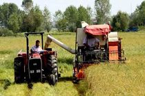 لزوم توجه به توسعه مکانیزاسیون تولید برنج و افزایش درآمد کشاورزان