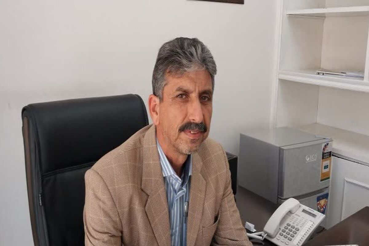 بیگی