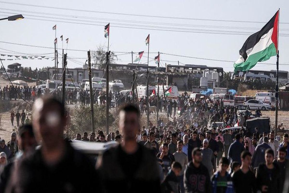 گذرگاه های نوار غزه بازگشایی شدند