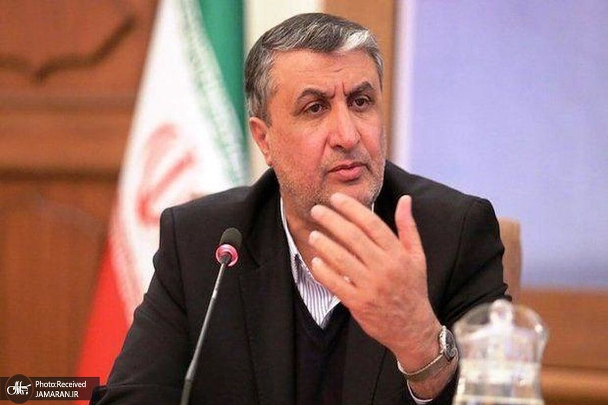 رئیس سازمان انرژی اتمی