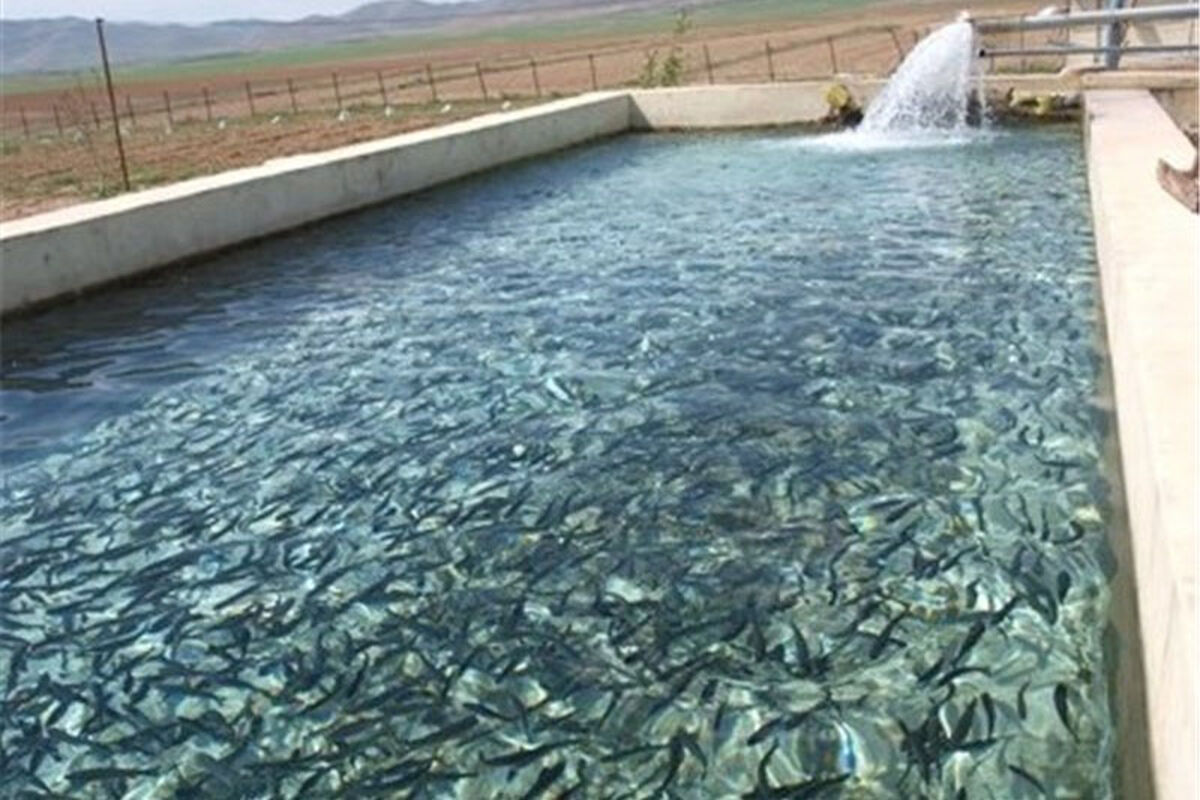 آبزی پروری 
