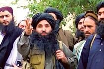 سرکرده طالبان پاکستان به هلاکت رسید
