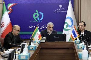 ایران و تایلند درباره ارتباط‌های نظارتی در حوزه غذا توافق کردند
