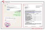 مشاوره مهاجرت کانادا؛ مسیر امن برای رسیدن به اقامت دائم