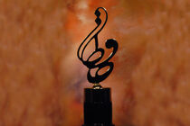 جشن حافظ با اجرای مهران مدیری برگزار شد