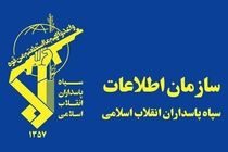 دستگیری ۱۰ عنصر مزدور توسط سازمان اطلاعات سپاه خراسان رضوی