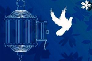 رهایی زندانی محکوم به قصاص در هرمزگان/ جلب رضایت اولیای دم