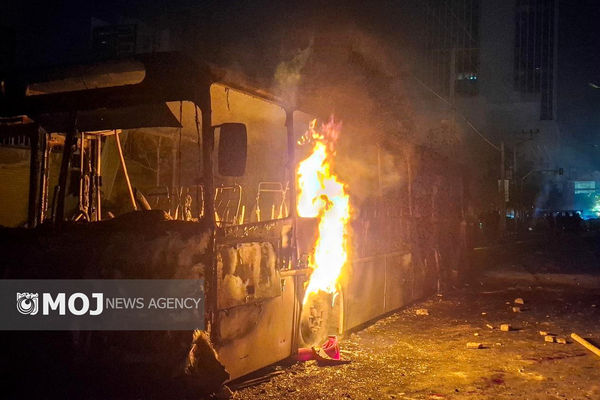 تعداد قابل توجهی از زنان و کودکان در حادثه دی ماه به شهادت رسیدند