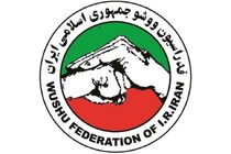 نامه‌ای از فدراسیون ووشو دریافت نکردیم