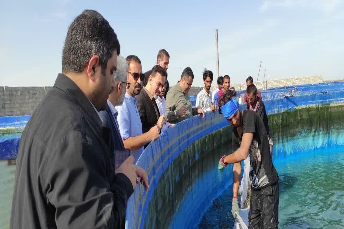 قشم