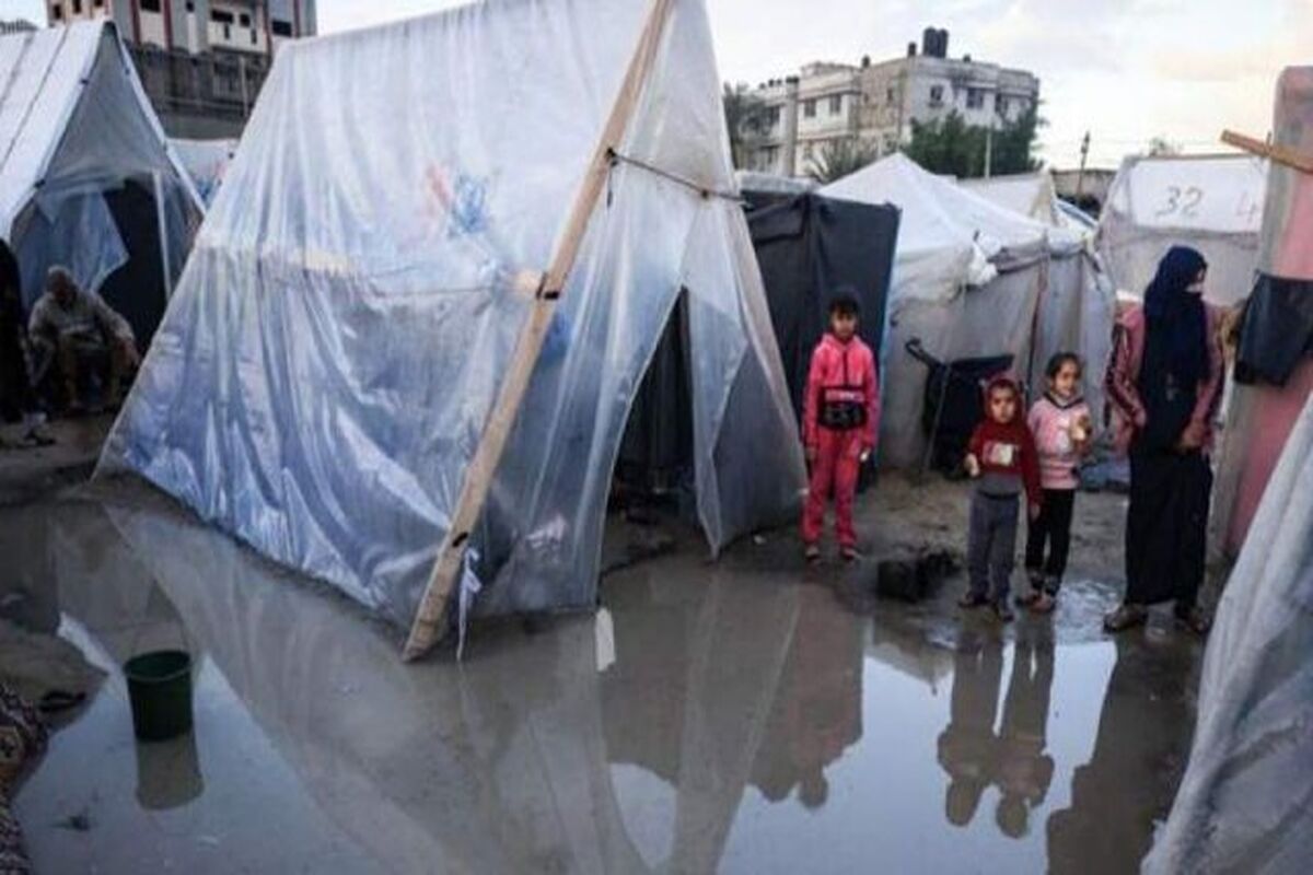 غزه