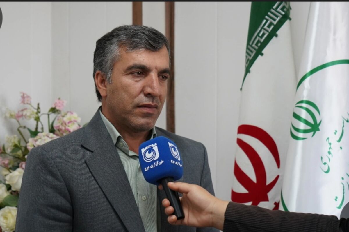 محمدی