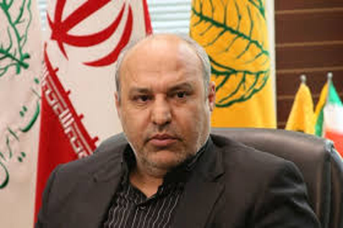 شمالی 