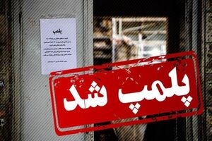 ۱۸ شرکت هرمی پلمب و ۷۳ متهم دستگیر شدند