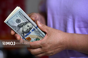 جدیدترین قیمت ارزها در بازار آزاد امروز ۱۵ آذر ۱۴۰۴
