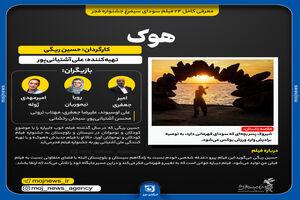 "هوک" به اندازه‌ای که تلاش کرده نتیجه گرفته است