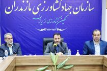 دیپلماسی غذایی برای صادرات مرکبات مازندران به چین/ مرکبات مازندران در راه روسیه، هند و چین