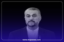 اینفوگرافیک/نگاهی به زندگی‌نامه و سوابق شهید حسین امیرعبداللهیان 