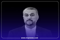 اینفوگرافیک/نگاهی به زندگی‌نامه و سوابق شهید حسین امیرعبداللهیان 