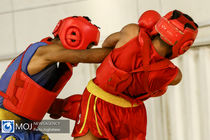 زمان اهدای جام قهرمانی لیگ ووشو اعلام شد