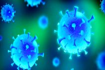 کرونا در قم هنوز نزولی نشده است