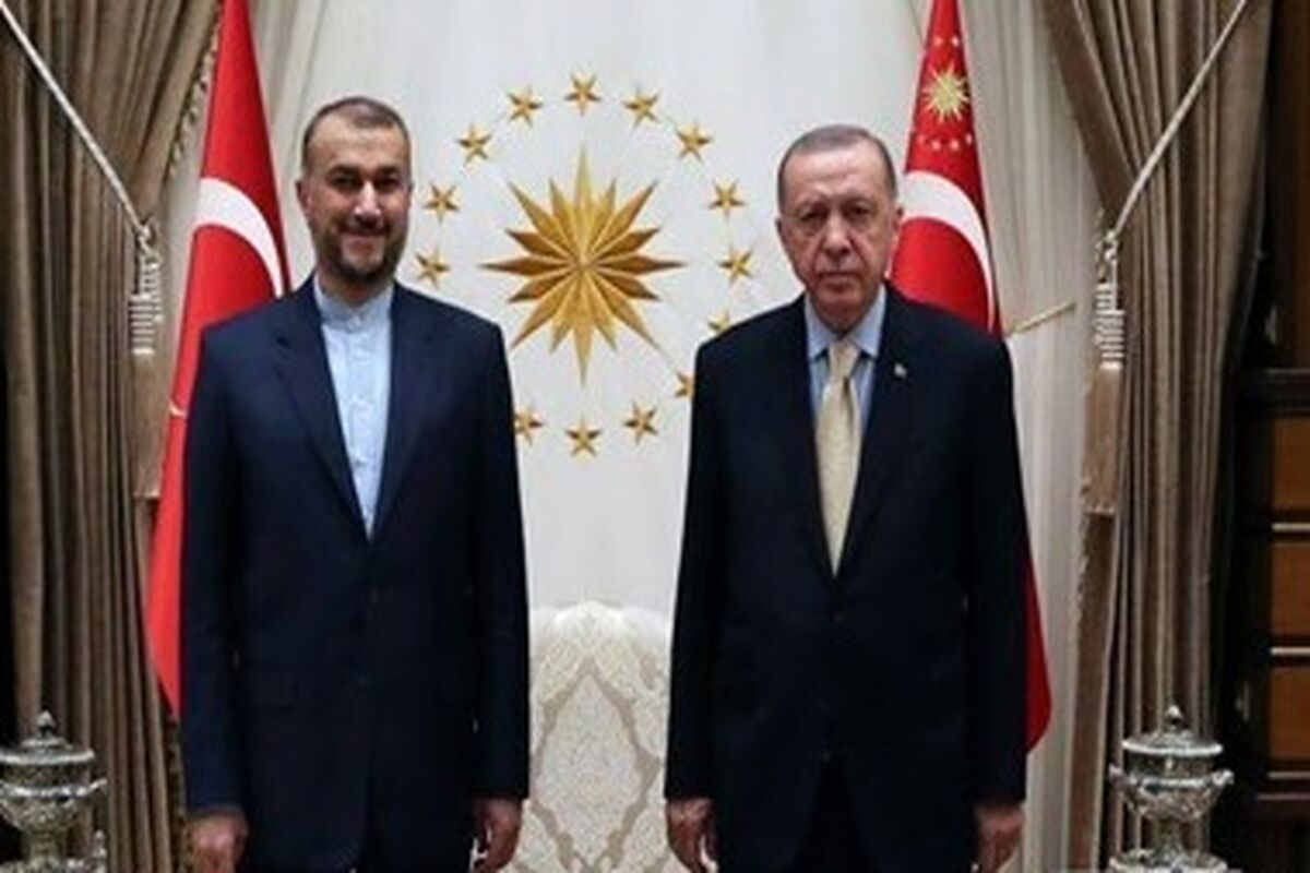 دیدار امیرعبداللهیان و رجب طیب اردوغان