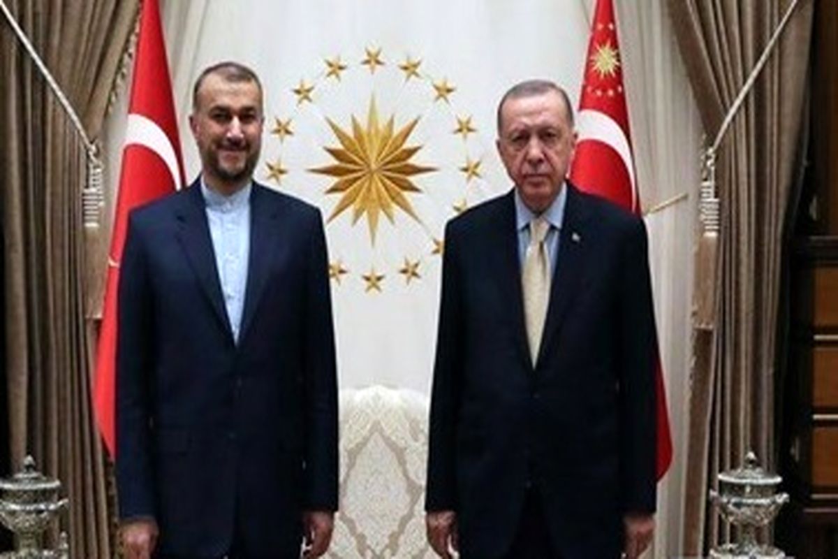 دیدار امیرعبداللهیان و رجب طیب اردوغان