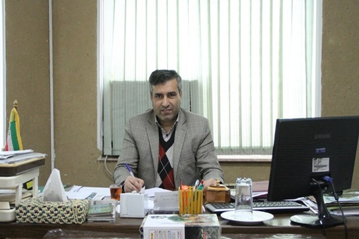معاون صنایع دستی  گیلان به
