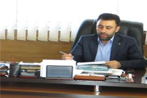 محکومیت 211 میلیونی قاچاقچی چوب اجرایی شد 
