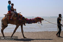 سواحل بندرعباس میزبان مسافران نوروزی