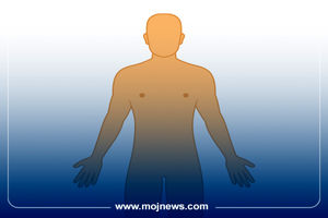 اینفوگرافیک/هر استرسی در کجای بدن ذخیره می‌شود؟