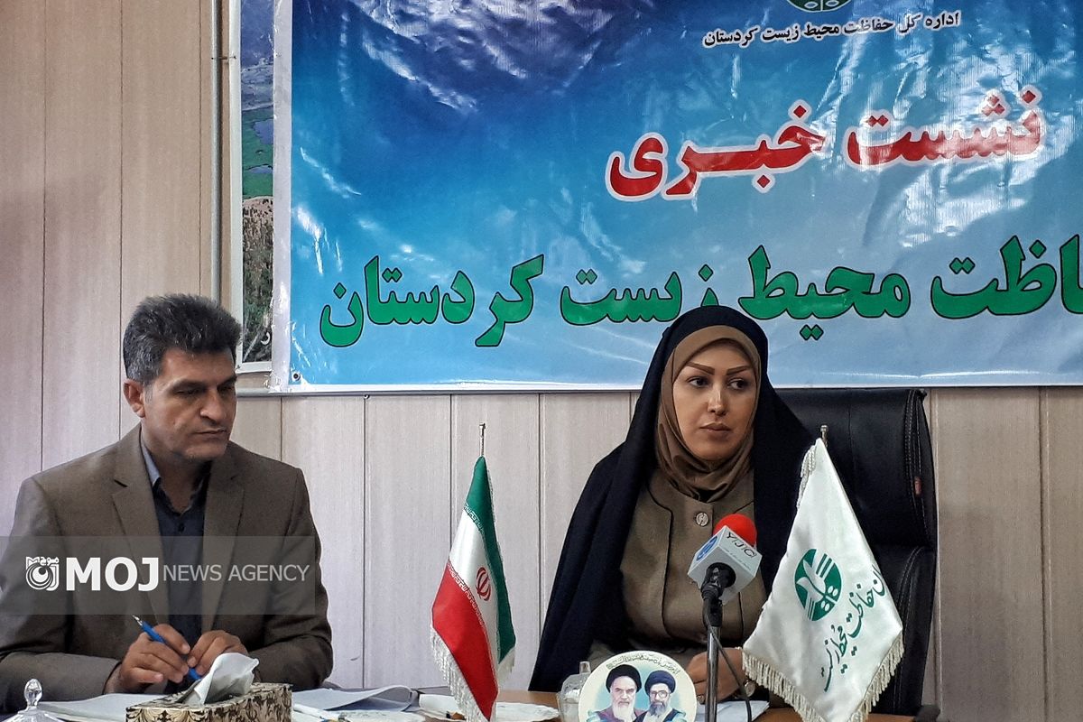 فریبا رضایی