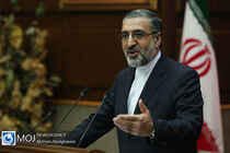 ۳۰۰ نفر از اغتشاشگران در بازداشت هستند / ارتباط عبدالرضا داوری با آمدنیوز مطرح است