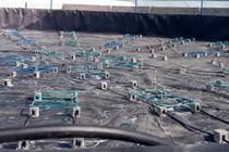 افزایش بهینه تولید با پرورش میگو متراکم