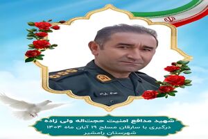 مامور پلیس در عملیات دستگیری سارقان مسلح به شهادت رسید