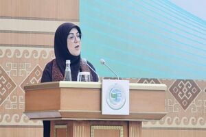 توسعه پایدار بدون مشارکت زنان ممکن نیست