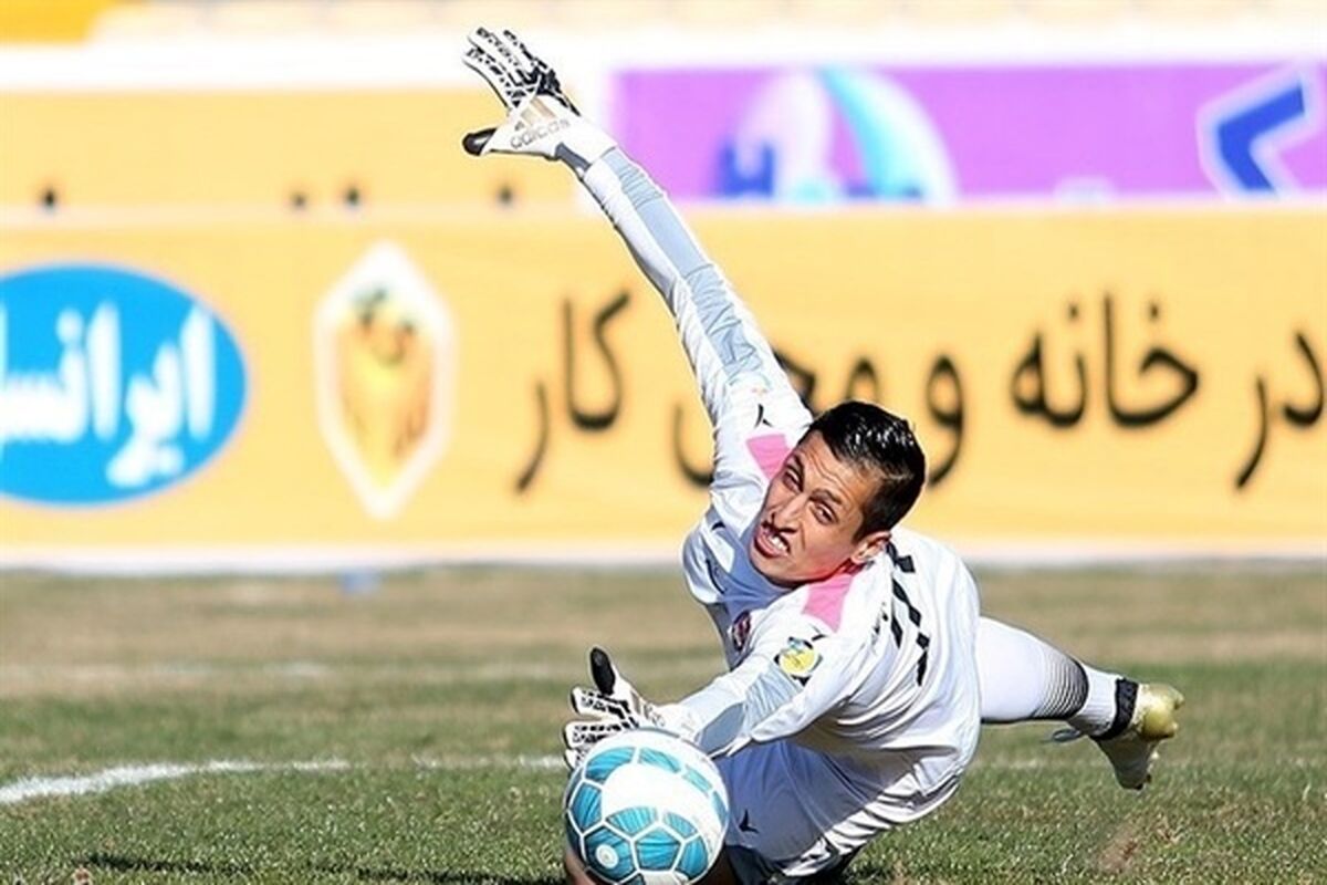 محمد ناصری