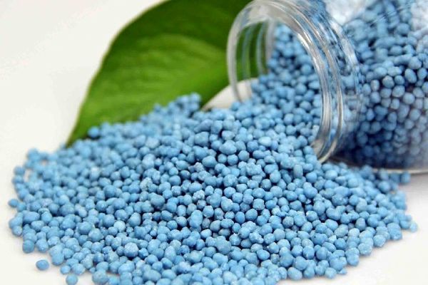 توزیع 1041 تن کود در مازندران آغاز شد