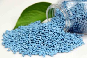 نیاز ۳۰ هزار تنی کشور به کود/ فقط یک‌سوم وارد شده است