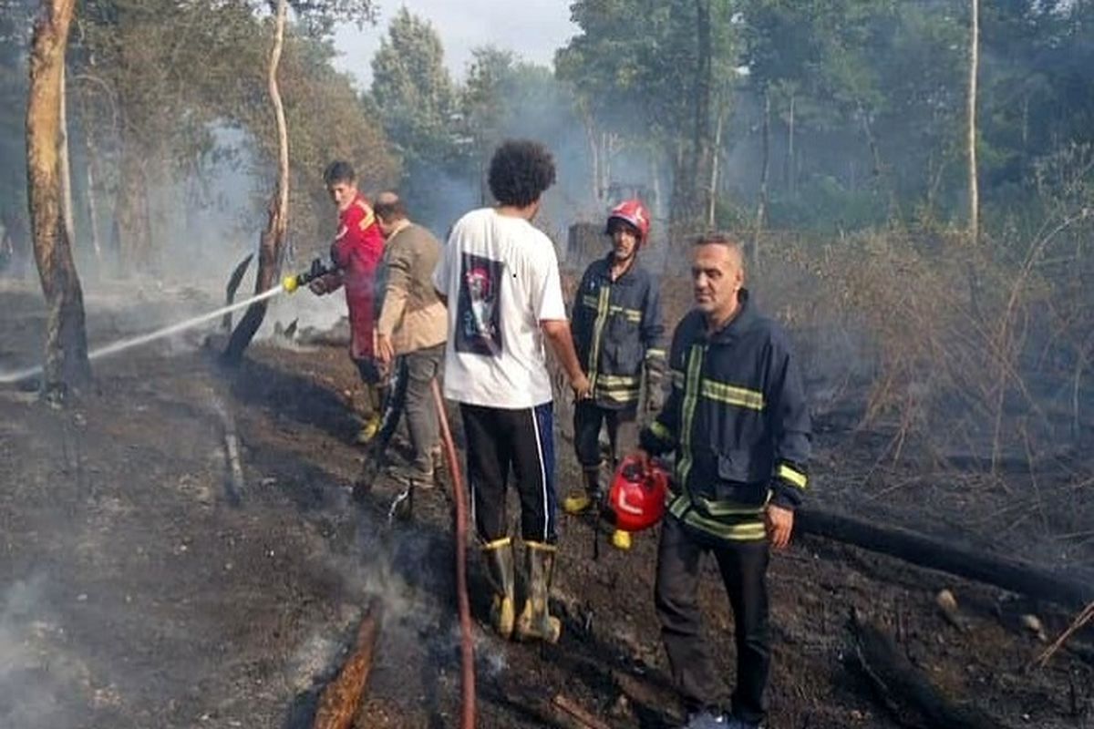 آتش سوزی پارک سی سنگان