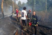 آتش دست از چهارقاش کشید