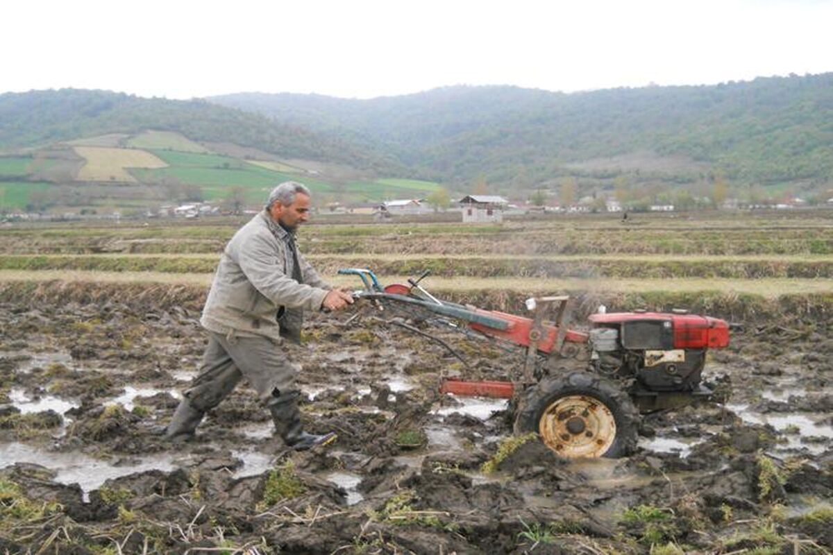 شخم و شیار زمین